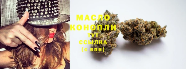 индика Коряжма