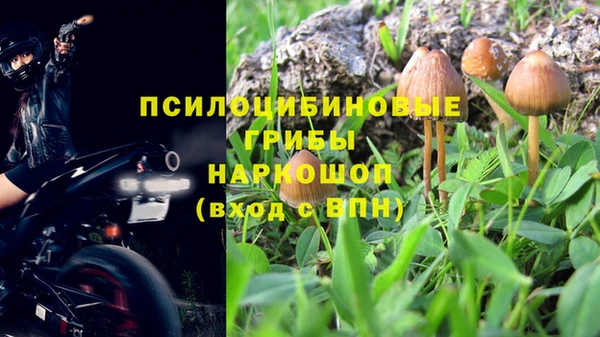 кристаллы Корсаков