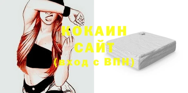 индика Коряжма
