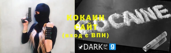 PSILOCYBIN Киренск