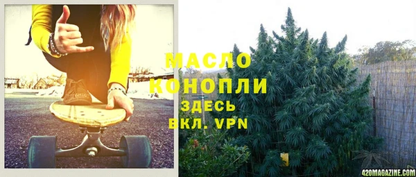 индика Коряжма