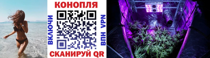 Конопля OG Kush  Михайловка 
